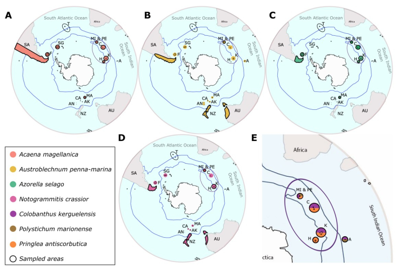 Figura_2_islas Figura_2