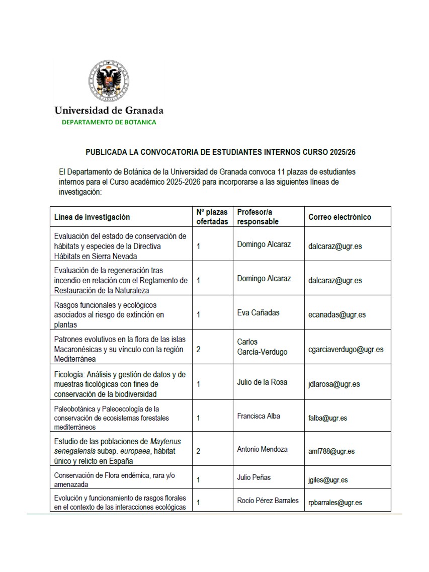 convocatoria25