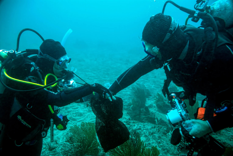 Investigadores Submarinos Investigadores Submarinos