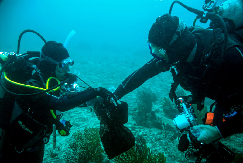 Investigadores Submarinos